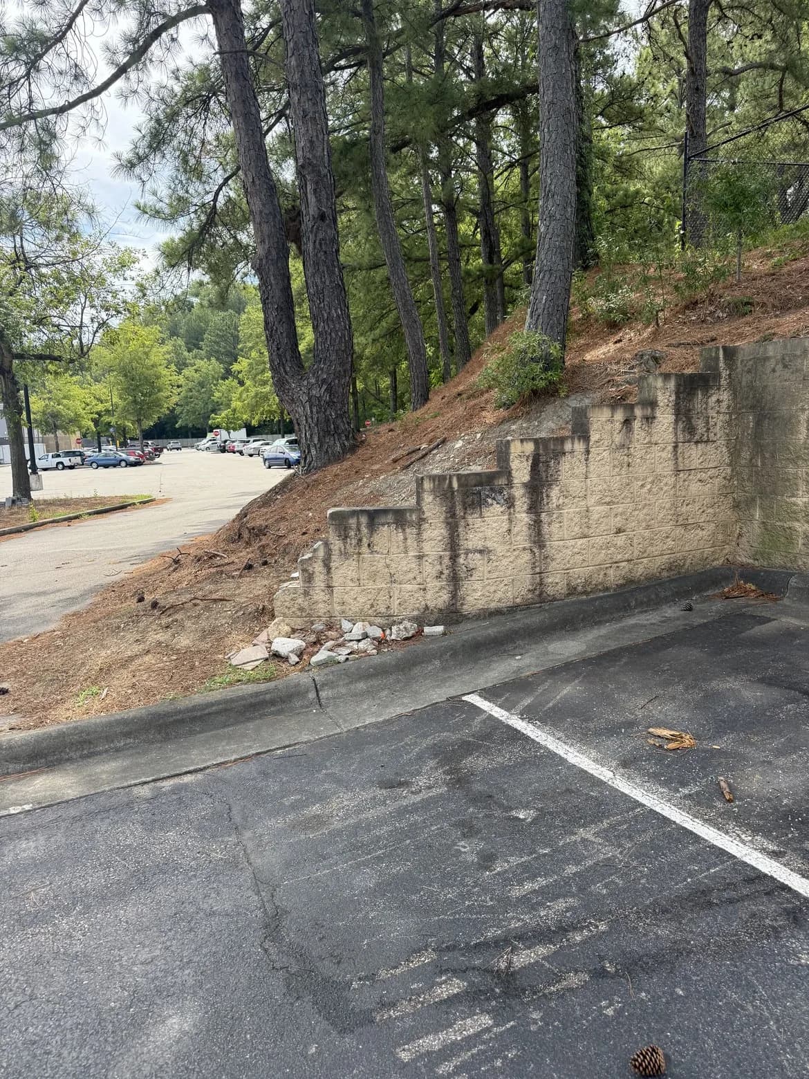 Retaining Wall — before