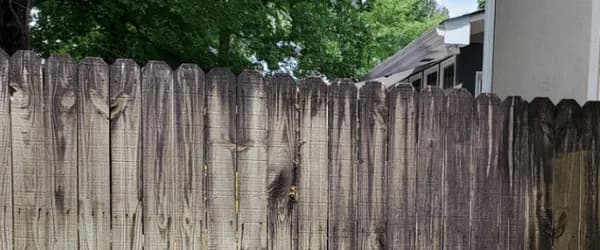 Fence — before